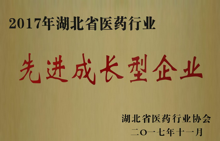 東信藥業(yè)榮獲“湖北省醫(yī)藥行業(yè)先進成長型企業(yè)”，“混合脂肪酸甘油酯...